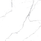 R_PR2003 Unico White Polished 60x120 Royce