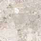 Venus Fossil Double Digital 60x120 Realistik