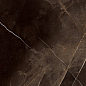 Regal Zuccini Coffee 80x160 SotGres