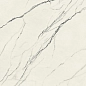 610010002716 Forte dei Marmi Lilac Rett 80x80 Atlas Concorde Russia