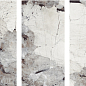 Patagonia Cool High Gloss 60x120 Staro фото в миниатюре 2