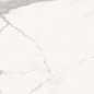D1262809BM Statuario Calacatta POL 120x60 Gani