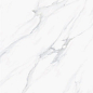 Satuario Platina Polished 60x60 Staro