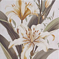 Secrets White 20x20 Mainzu