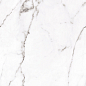 R0010-GL Great Statuario полированный 600x1200 AVS