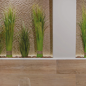 Starwood Venis