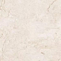 6406 Stone Ivory Polished 60x120 Leopard