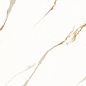 AB 1158G Bianco Dorado Gloss 1200x600 Absolut Gres