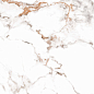 Pnr 10097 Polished 60x60 A-Ceramica