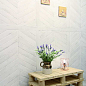 Arrow Dark 8x40 Monopole Ceramica
