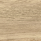 GP1560TAN11 Tanzania Beige матовый 151x602 New Trend