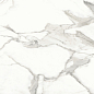 Invictus Natural 80x80 Baldocer