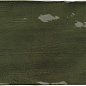 25847 La Riviera Botanical Green 6.5x20 EQUIPE