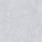 NR207 Maderas Light Grey 60x120 PrimaVera