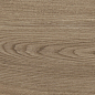 41729 Bloom Cognac SP/24x151x0,9/R 24x151 Peronda