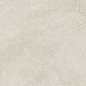 N12049 Eden Light Satin 60x120 Neodom