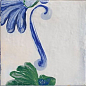 Portobello 20x20 Mainzu