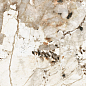 774905 Nature Mood Tundra Glossy Ret 6mm 60x120 Casa Dolce Casa