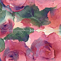 DAHU D-Flora 50х76 MARAZZI Italy