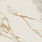 Medici Gold Pulido 80x160 Benadresa