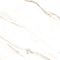 Statuario Brown Glossy 60x60 Modern Tile