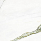 CH02BA Calacatta Green Sq. 60x120 Italgraniti