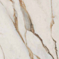 PF60009170 Sensi Signoria Calacatta Vena Oro Nat R 60x120 ABK