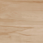 Paint Wood Bone Gloss 60x120 Realistik