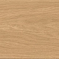 A8YB Entice Pale Oak Elegant R9 18,5x150 Atlas Concorde