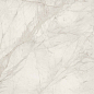 PF60015277 Tarsia Bianco Dolomiti Lux 3D Rett 120x120 Versace (Gardenia Orchidea)