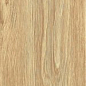 ZC 1223098 rect. 20x120 Bonaparte