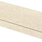 DCFSE668 beige 30x60 RAKO