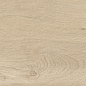 41728 Bloom Dune SP/24x151x0,9/R 24x151 Peronda