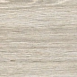 AB 1169W Forest Essenze Grey 1200x200 Absolut Gres
