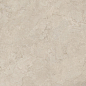 Pure Portland Nature 3D 6mm 160x320 Venux Surface фото в миниатюре 3