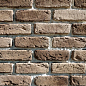 Песчаник 13-05 рядовая 200х60х25 Ecostone