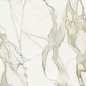 MML25961530 Calacatta Dorato Lucidato 300х150 Granitifiandre фото в миниатюре
