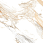 PR138 Duchess Gold polished 60x60 PrimaVera