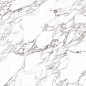 Arabescato Oscuro Elegance Polished 120х120 StaroSlabs