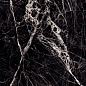 Mediceo Black Glossy 60x120 Modern Tile