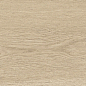 41728 Bloom Dune SP/24x151x0,9/R 24x151 Peronda