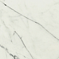 Anima Statuario Venato Rett Lucidato 30*60 Caesar