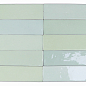 122105 Safi Mint 5,2х16 DNA Tiles фото в миниатюре 2