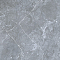 GRS02-16 Petra Northern Silver 60x60 Gresse