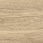 GP1560TAN11 Tanzania Beige матовый 151x602 New Trend