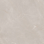 Natural Armani Light Grey Polish 60x120 Granoland