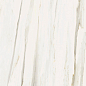 610010002840 Stellaris Carrara Ivory Nat Ret 80x160 Italon