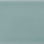 ADNE1100 Liso PB Sea Green 7,5x15 Adex