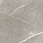 BB6NTT9102P Bright And Shiny 60x60 NT Ceramic