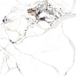 NTT3310P Breccia Bianco 120x240 NT Ceramic
